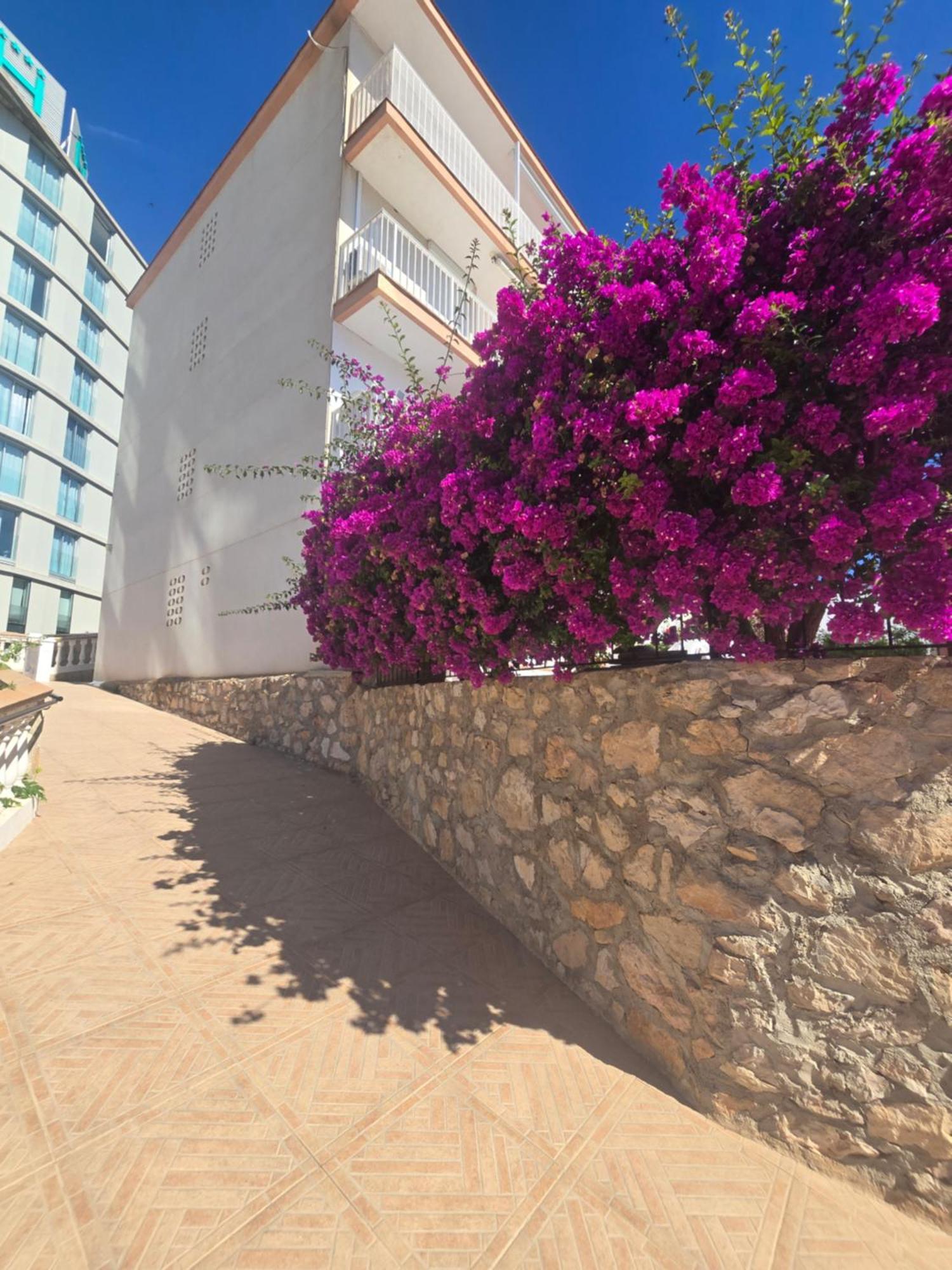 La Cantera Appartement Playa Пеніскола Екстер'єр фото